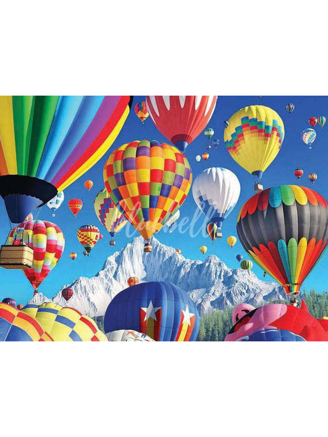 Vivid Hot Air Baloon