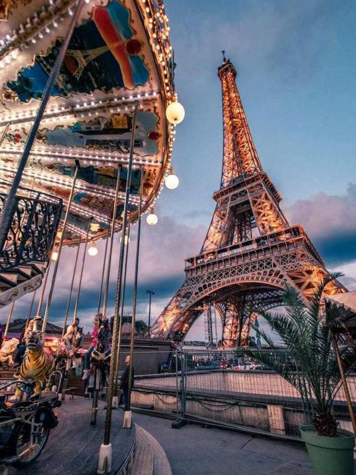 Paris Wonderland