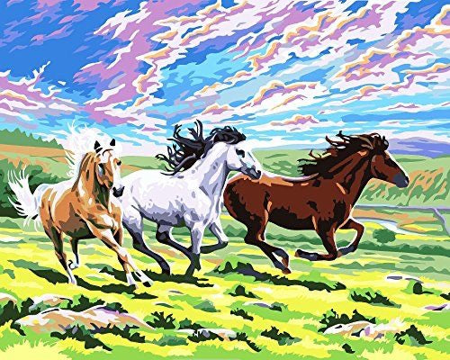 Running horses paint by number