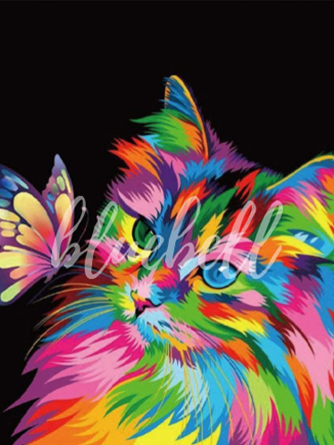 Rainbow cat